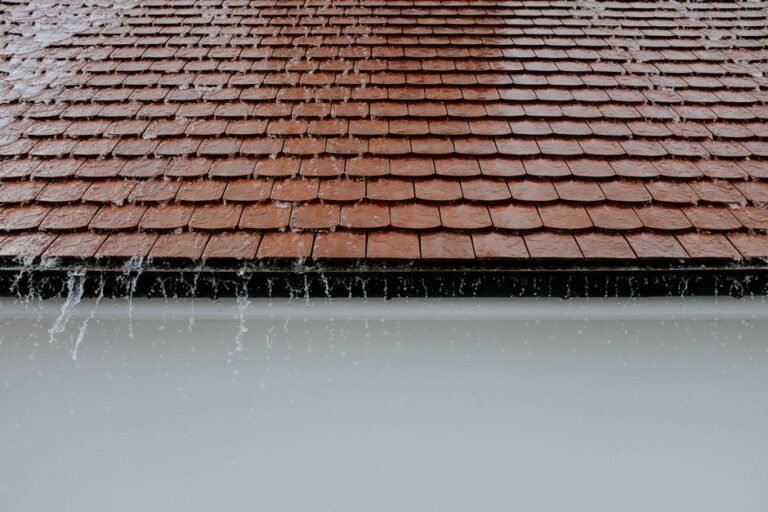 What I Got Wrong About Patio Drainage