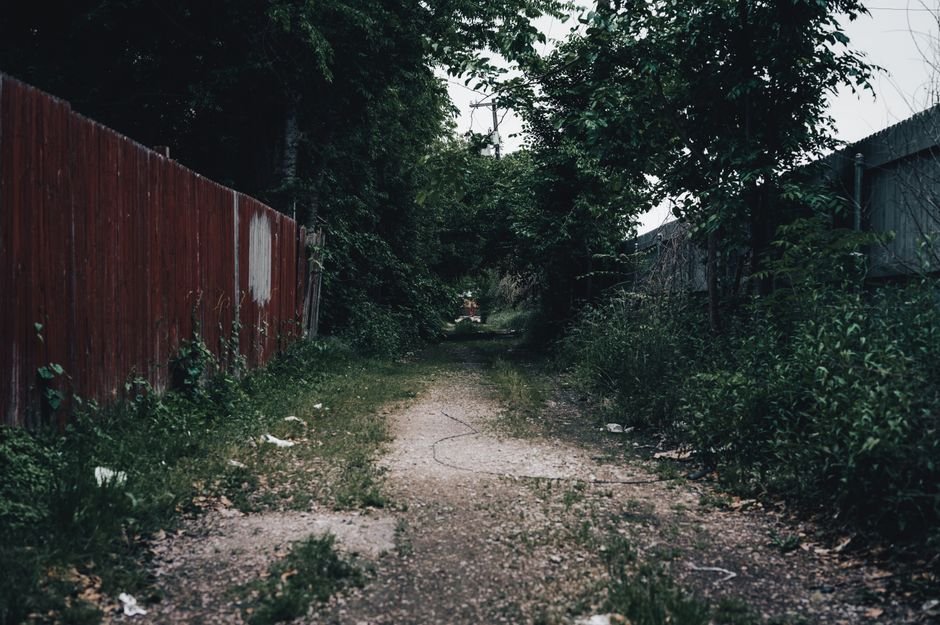 gravel path backyard fence